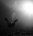   cold Febuary morning cool degrees water my dive buddy catching some sunrays. sunrays  